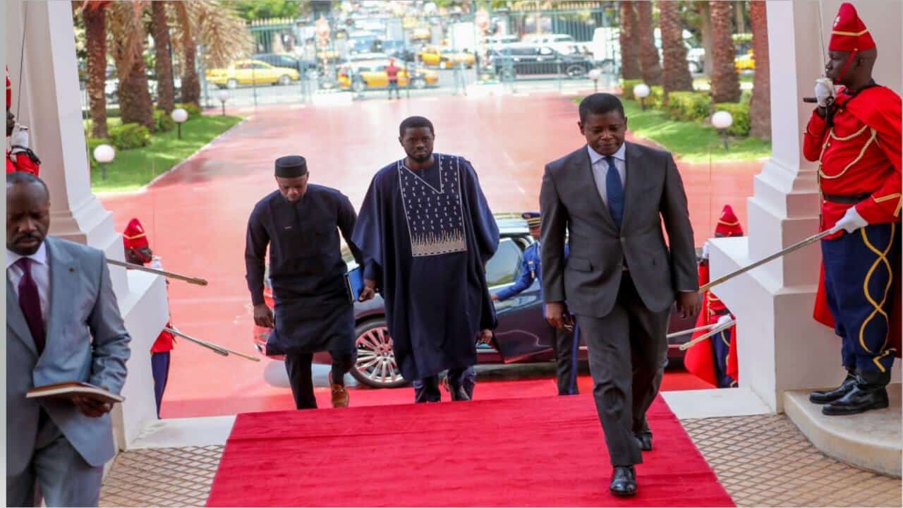 Entretien entre le Chef de l'État Macky Sall et son successeur, le Président Bassirou Diomaye Faye 10