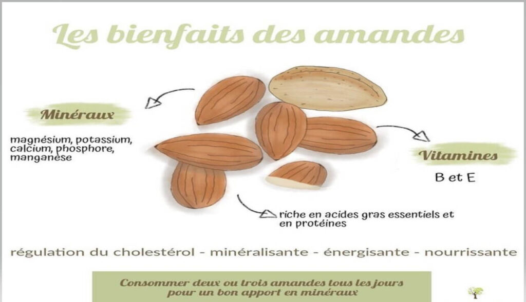infographie-des-5-bienfaits-de-l-amande-alli-100-c-ur