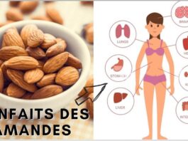 bienfaits des amandes sur la santé de l'homme