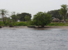 Réserve de Bamboung - 7 000 ha dans la partie sud du delta du Saloum 2