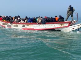 Drame à Foundiougne : 44 Candidats à la Migration Irrégulière Interpellés à Félane, Une Disparition Mystérieuse Hante les Bolongs ! 250 Migrants Irréguliers Interpellés À Bambougar (Foundiougne)