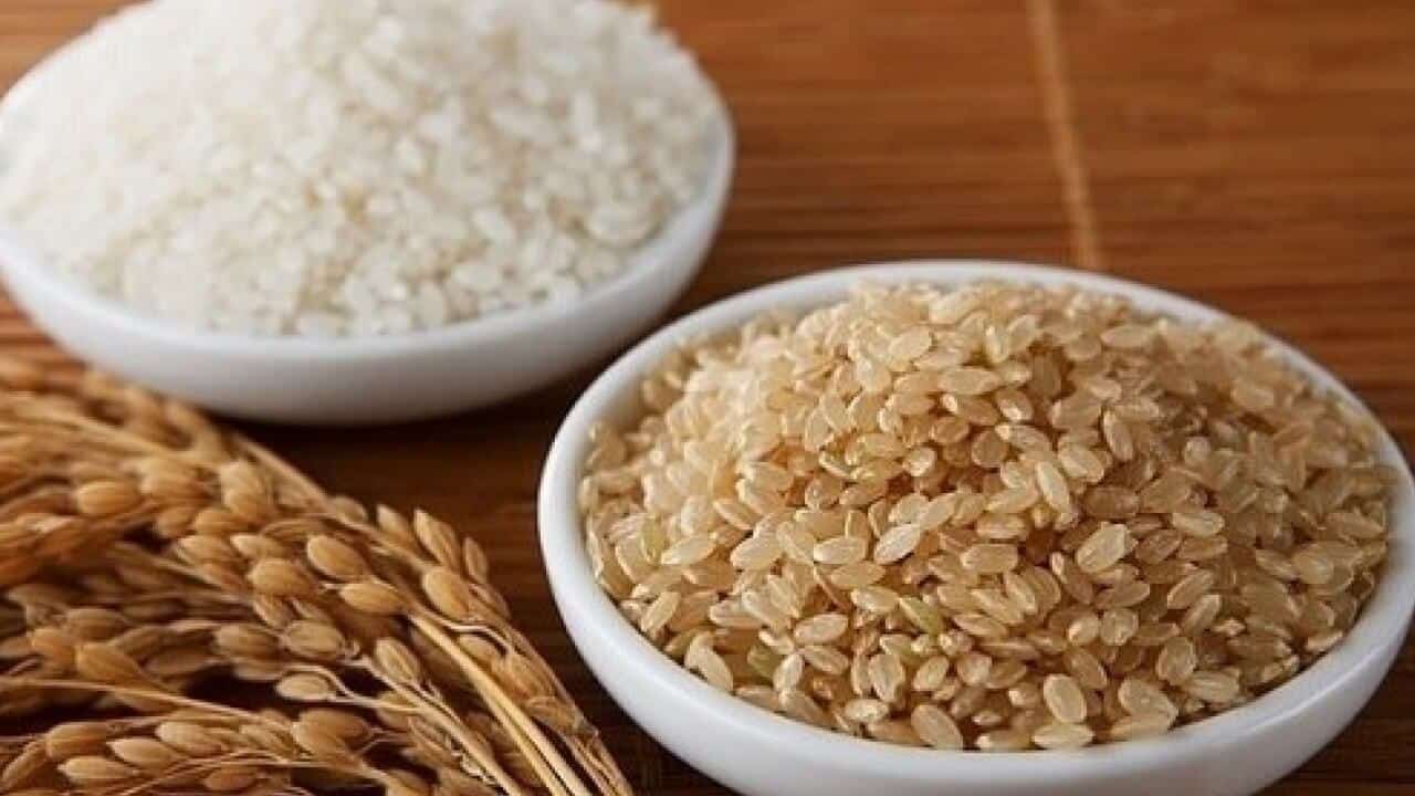 Des aliments interdits et des aliments autorisés