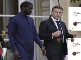 Emmanuel Macron et la France plaident coupable du massacre de Thiaroye 44 et ouvrent une page historique ok