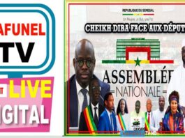Cheikh Diba face aux députés Projet de loi n°15-2024 portant LFR 2024 ok