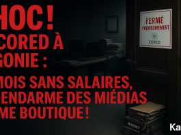 Le CORED Ferme pour Raisons Financières – 14 Mois d'Arriérés de Salaires pour l'Organe d'Éthique des Médias ! (3)